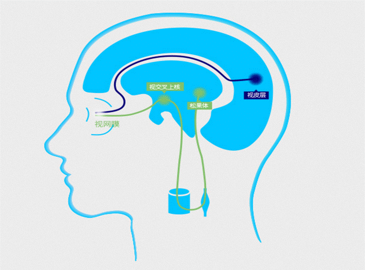 品人堂定制你的专属好睡眠 !